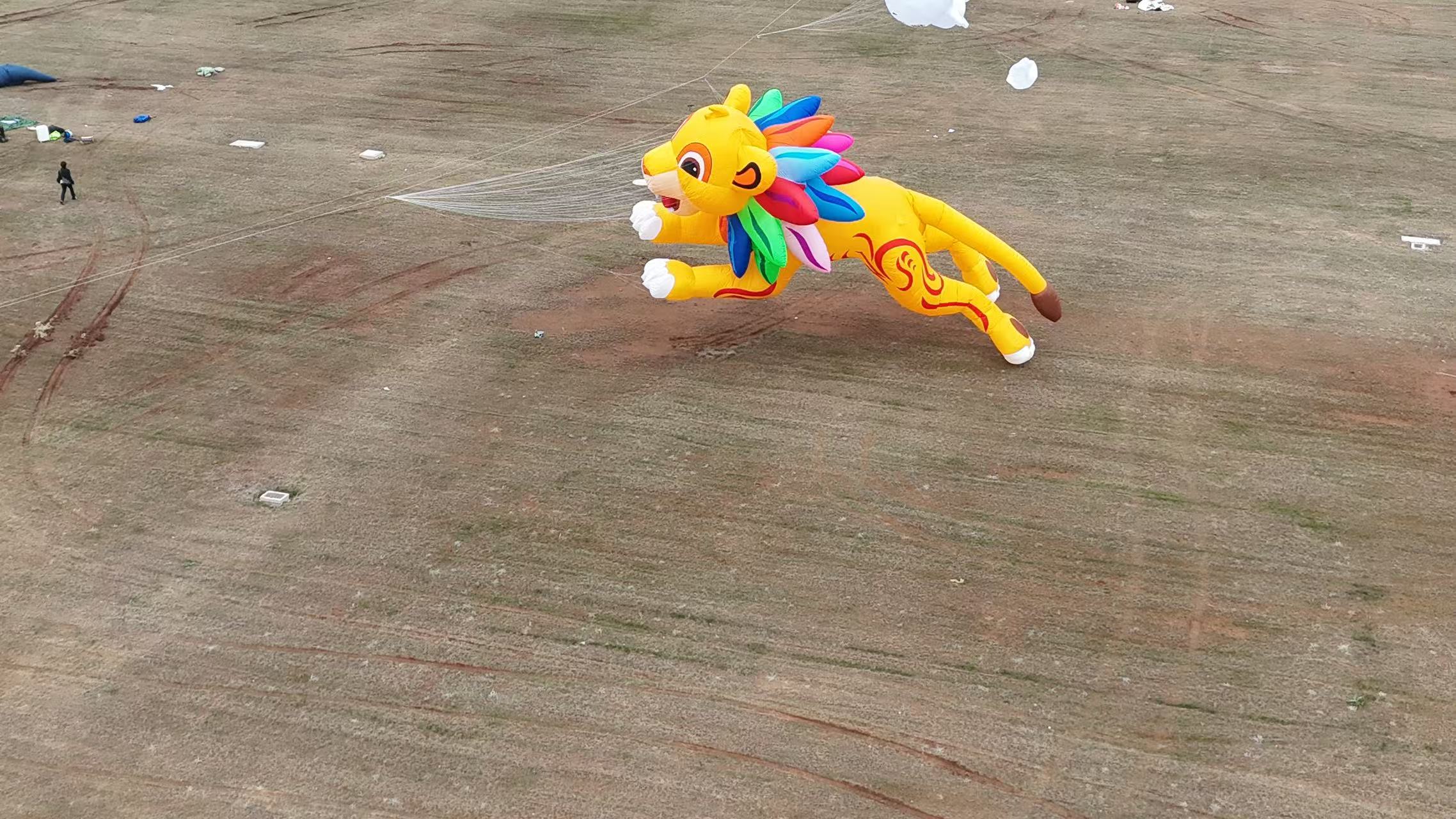 惠州市品牌风筝定制风筝加工 - 价格