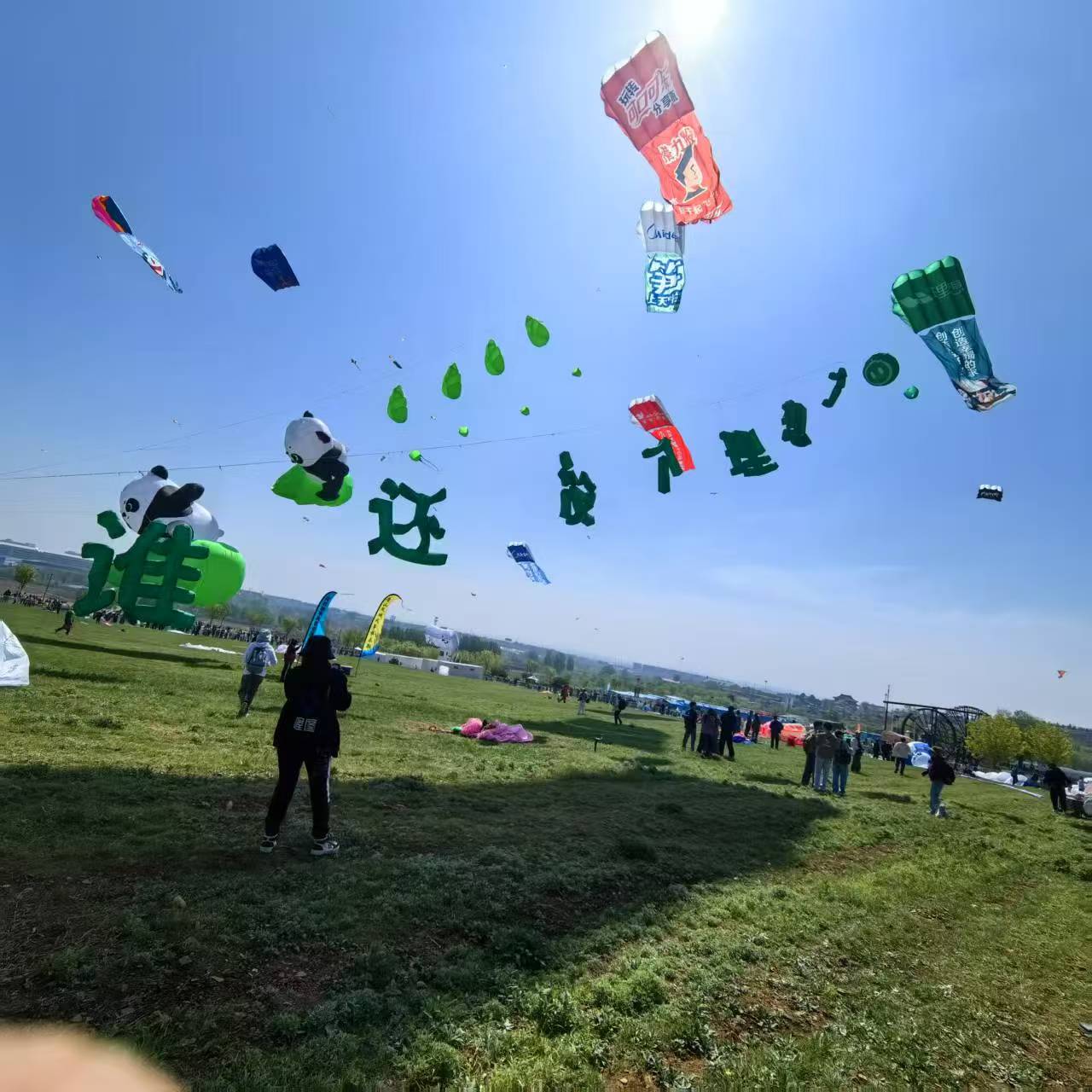 惠州市风筝商业放飞风筝定制 - 方案